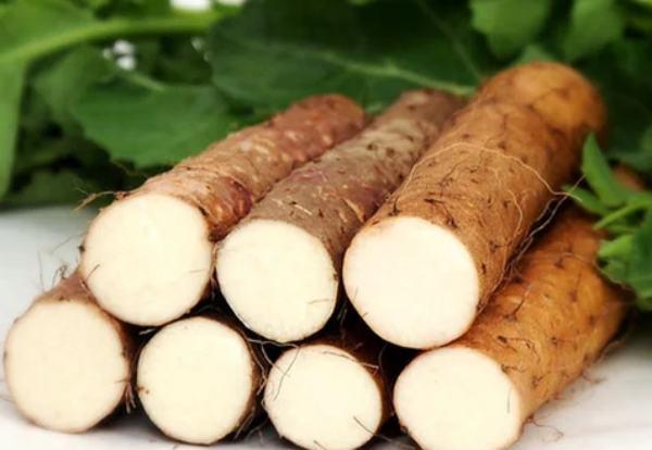 Sugar Balance Ingredient: Wild Yam Root Extract